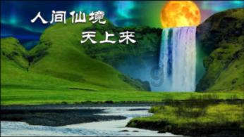 nike大勾求鉴定游戏画面