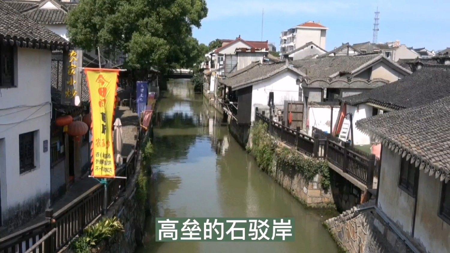 拯救精灵的土地10